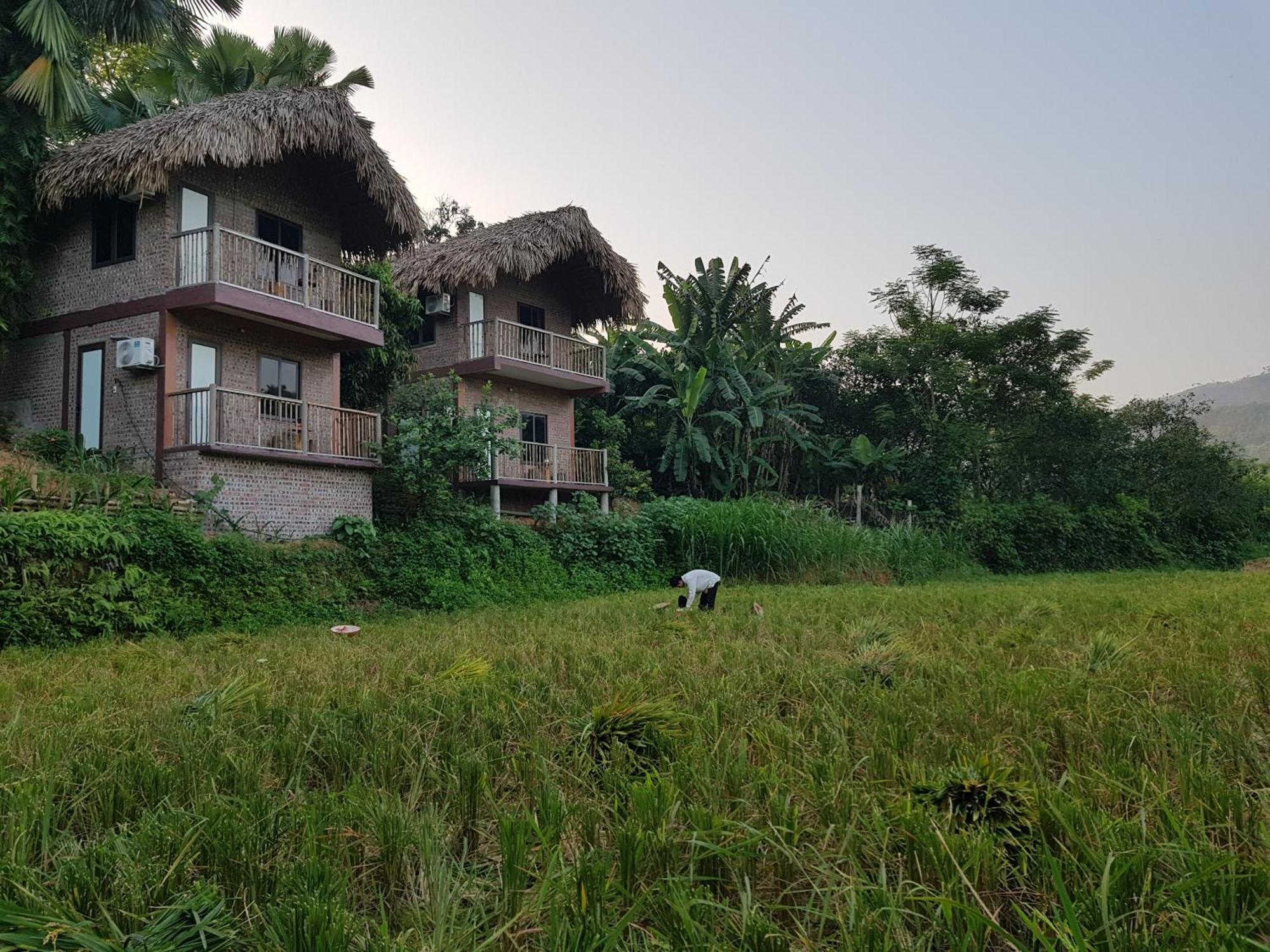 Vu Linh Palm House Homestay - Bungalow Yen Bai Exterior foto
