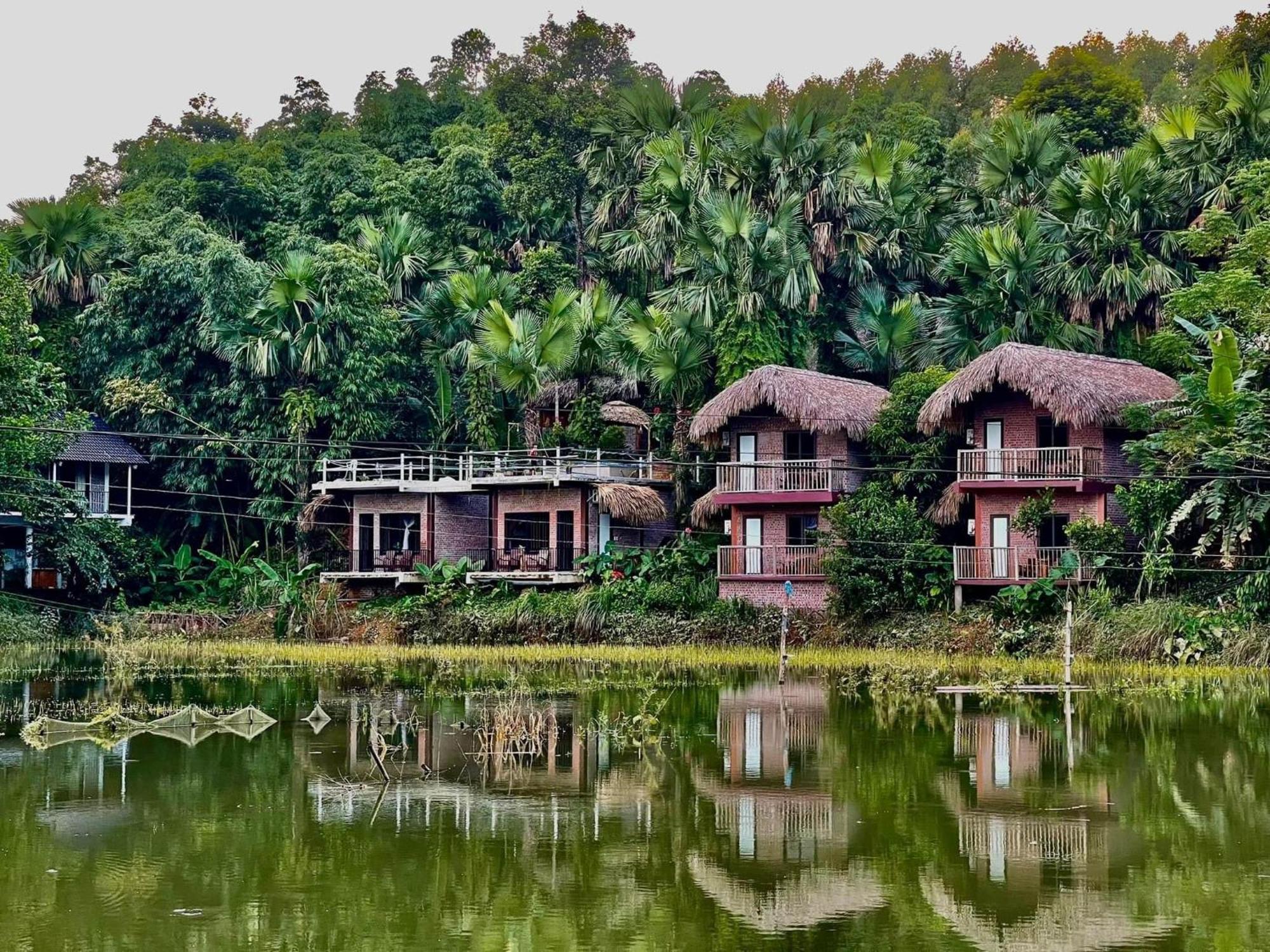 Vu Linh Palm House Homestay - Bungalow Yen Bai Exterior foto