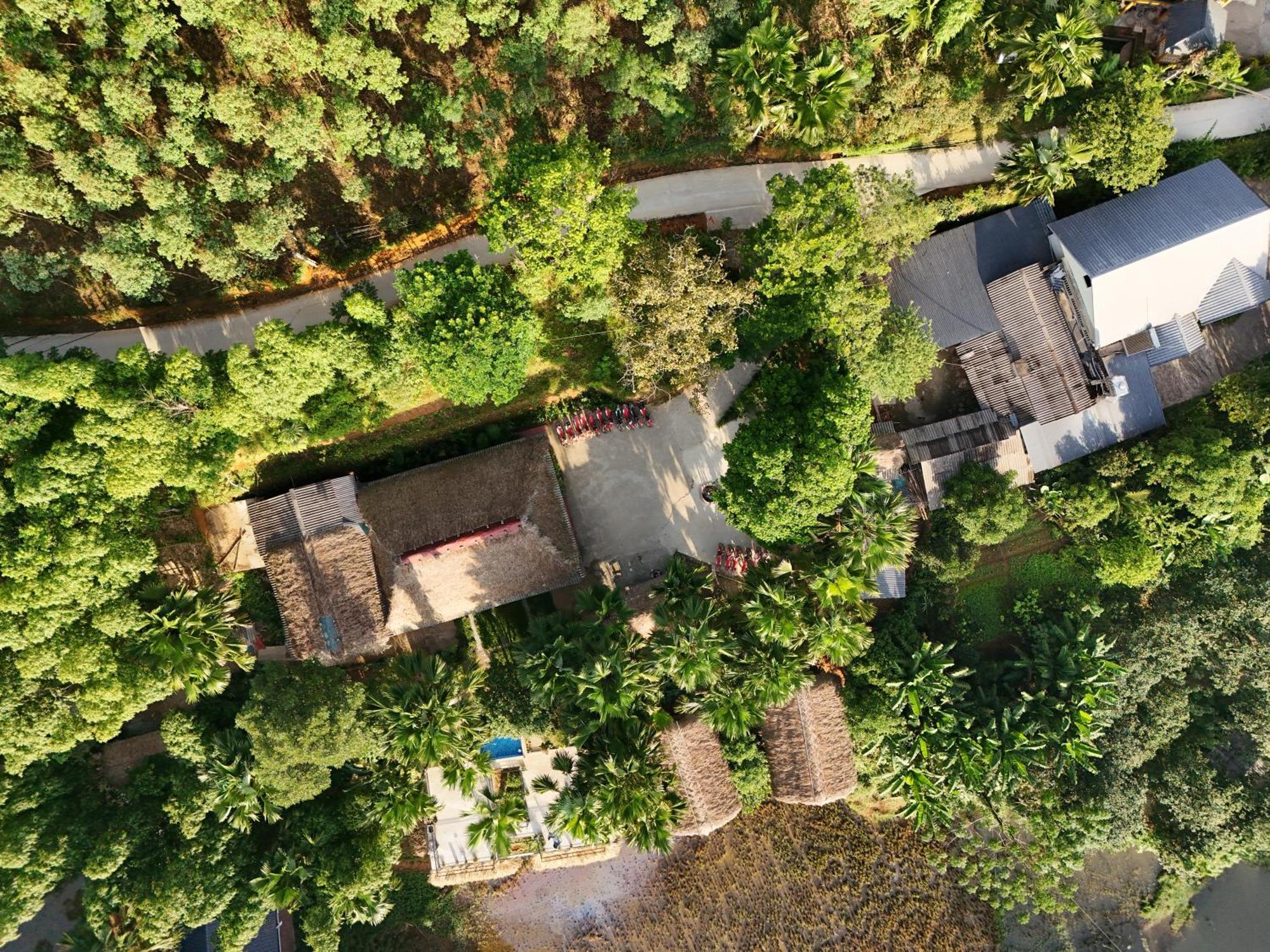 Vu Linh Palm House Homestay - Bungalow Yen Bai Exterior foto